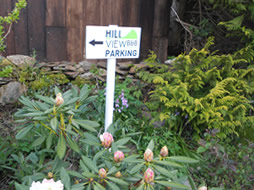 Hill View Bed and Breakfast - Parking Sign