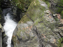 Lydford Gorge